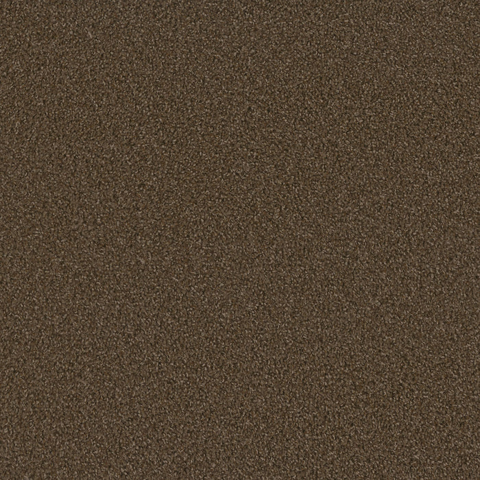 Sp250 Polyester Boulder 552 Carpet Textured 1
