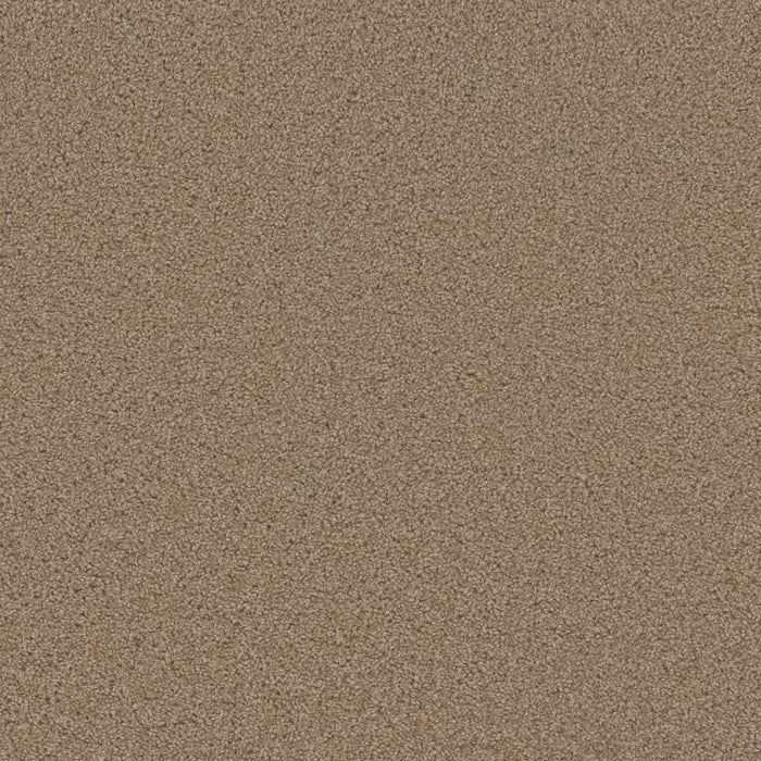 Sp250 Polyester Sawgrass 701 Carpet Textured 1