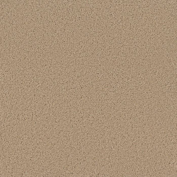 Sp250 Polyester Cookie Dough 705 Carpet Textured 1