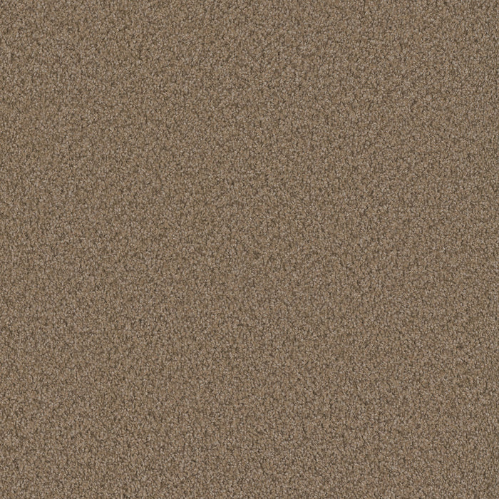 Sp250 Polyester Claystone 708 Carpet Textured 1
