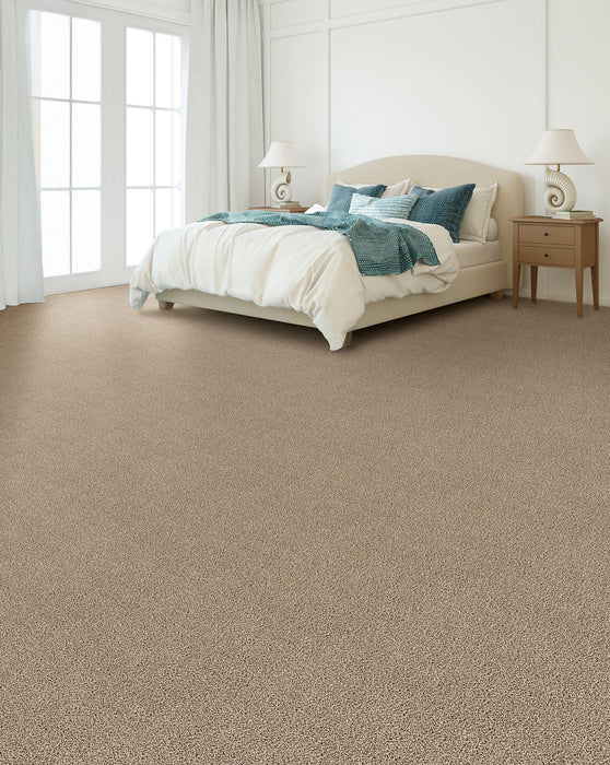 Sp250 Polyester Sandstone 715 Carpet Textured 2