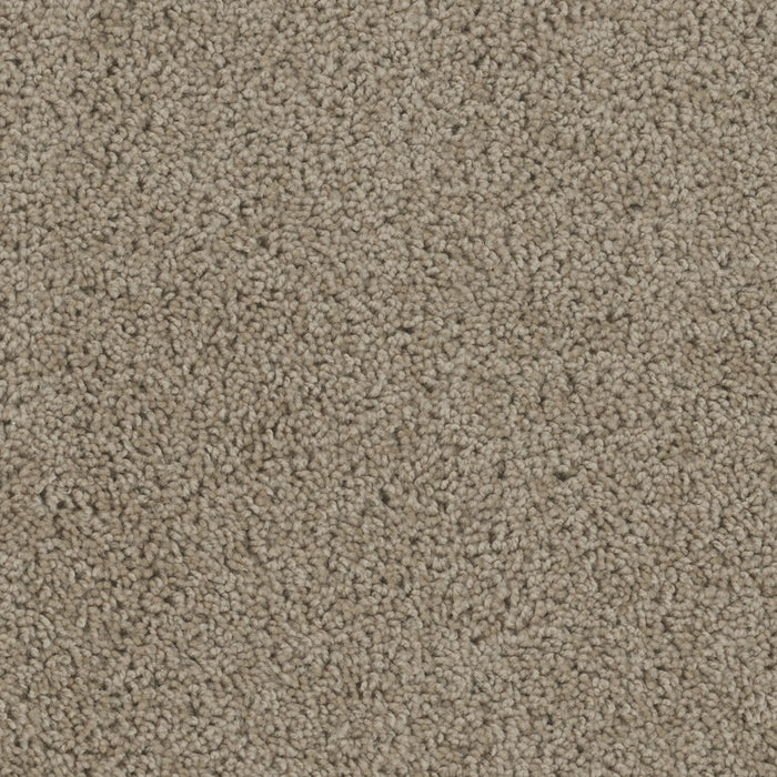 Sp250 Polyester Sandstone 715 Carpet Textured 1