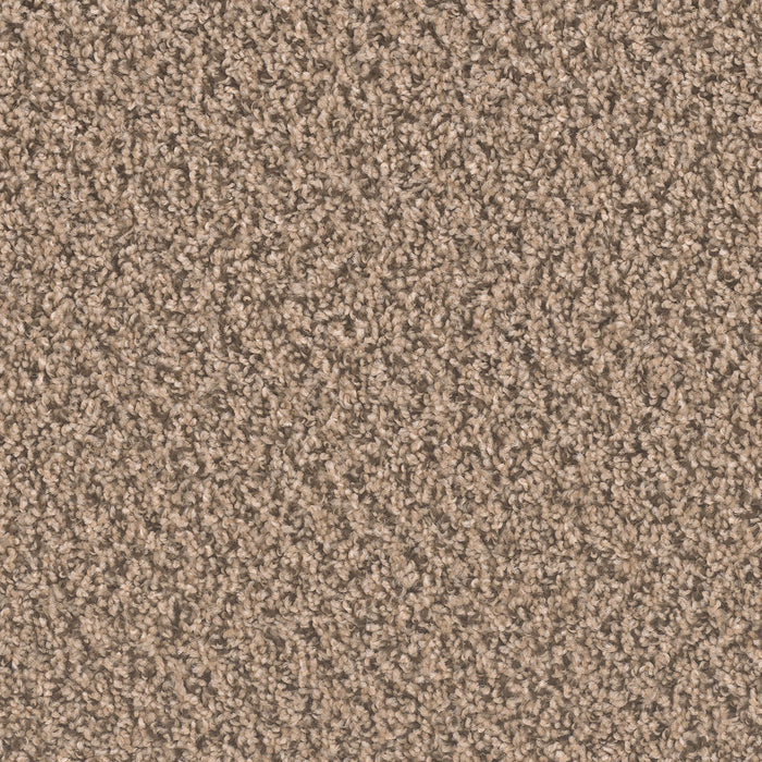 Sp250 Polyester Fossil 742 Carpet Textured 1