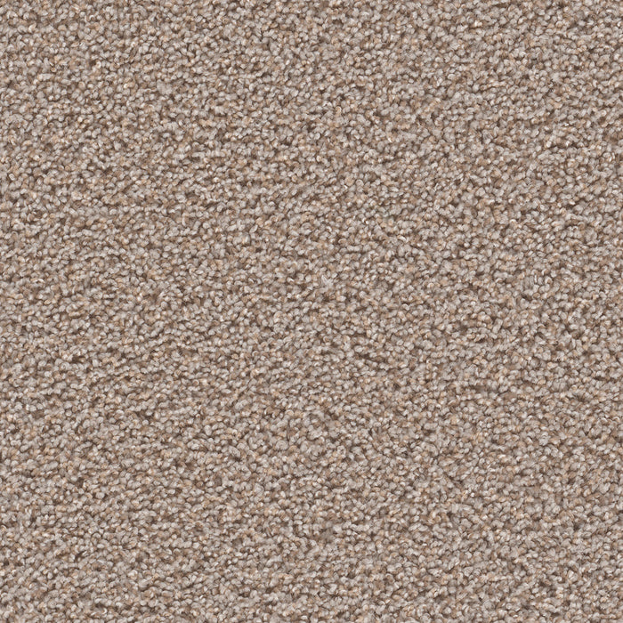 Sp250 Polyester Azure 803 Carpet Textured 1