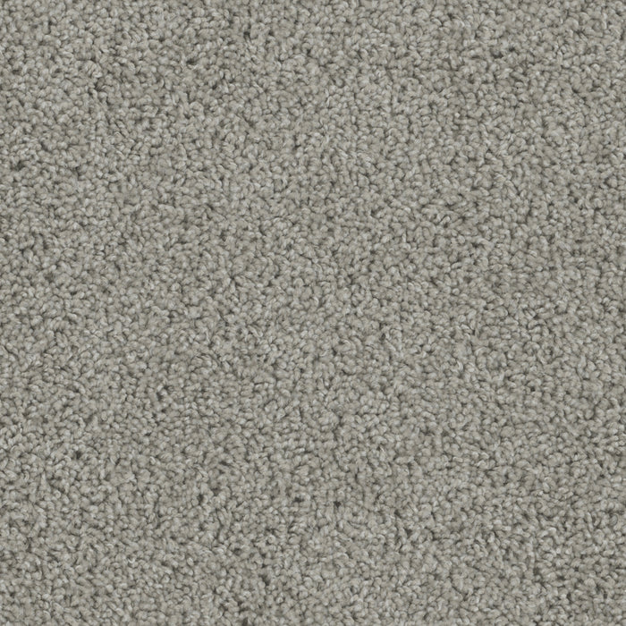 Sp250 Polyester Chrome 927 Carpet Textured 1
