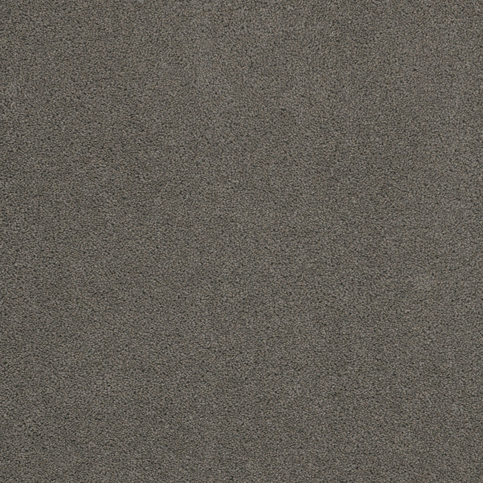 Sp250 Polyester Bayside 956 Carpet Textured 1
