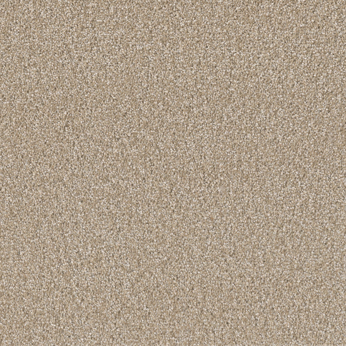 Sp251 Polyester Cameo 174 Carpet Textured 1