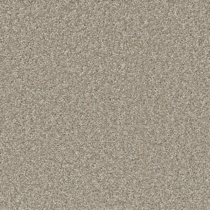 Sp251 Polyester Clam Shell 182 Carpet Textured 1