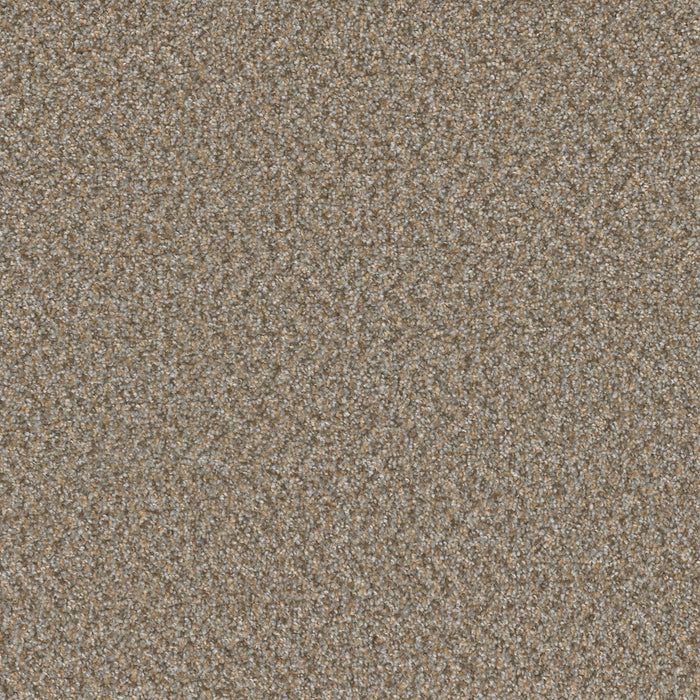 Sp251 Polyester Siesta 2068 Carpet Textured 1