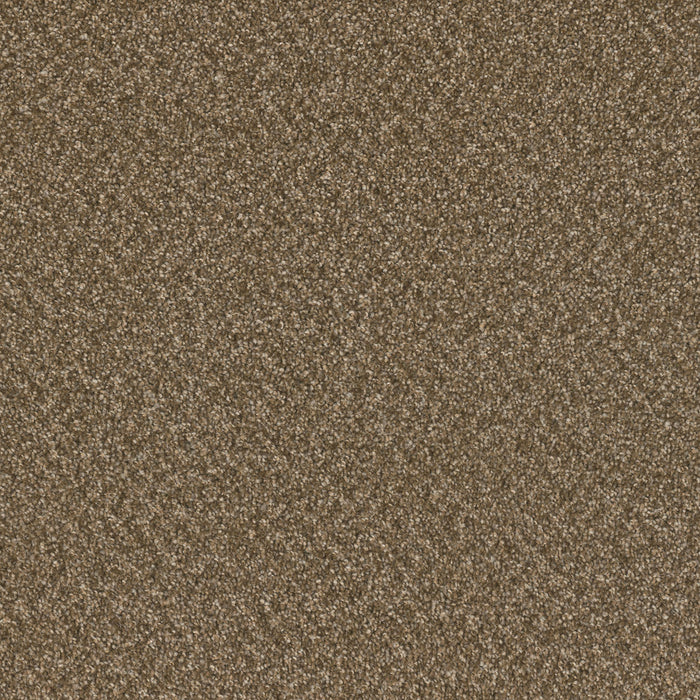 Sp251 Polyester Mocha Beige 2351 Carpet Textured 1