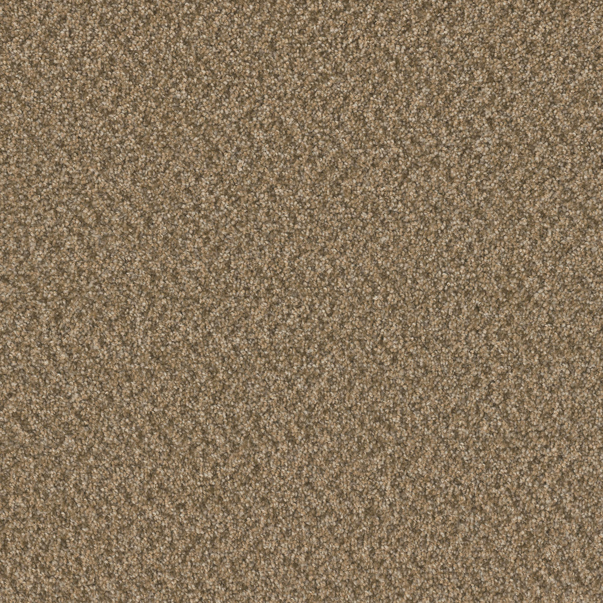 DreamWeaver Sp251 2418 Aged Leather Textured Polyester Carpet