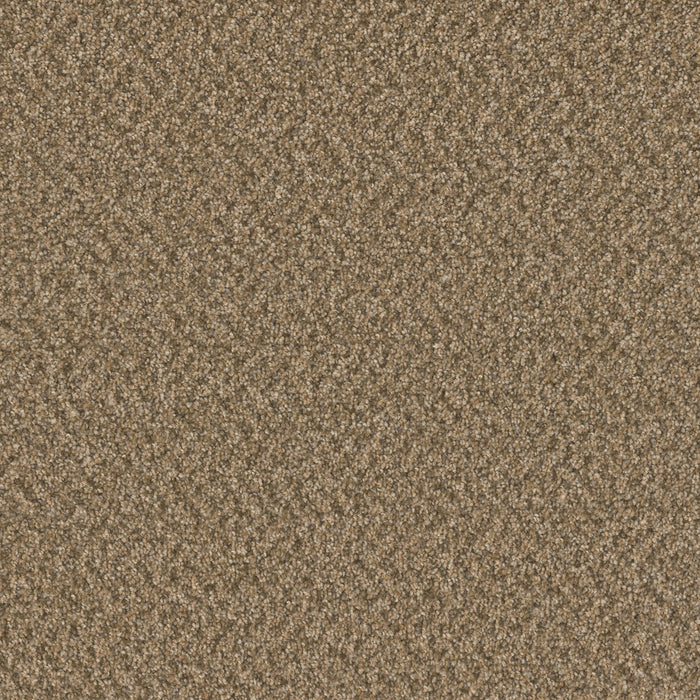 Sp251 Polyester Aged Leather 2418 Carpet Textured 1