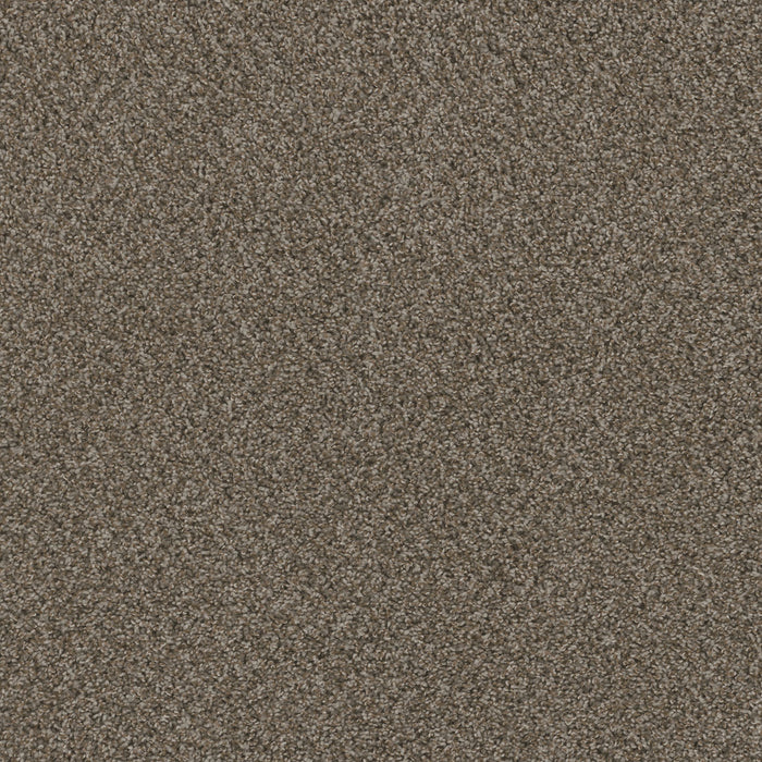 Sp251 Polyester Desert Jasper 339 Carpet Textured 1
