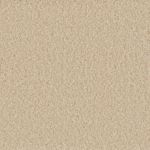 DreamWeaver Sp251 2068 Siesta Textured Polyester Carpet — Stone