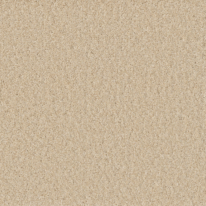 Sp251 Polyester Classic Ivory 4193 Carpet Textured 1
