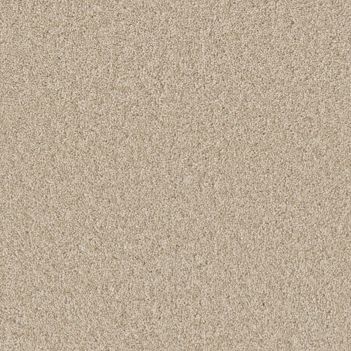 Sp251 Polyester Light Bisque 4484 Carpet Textured 1