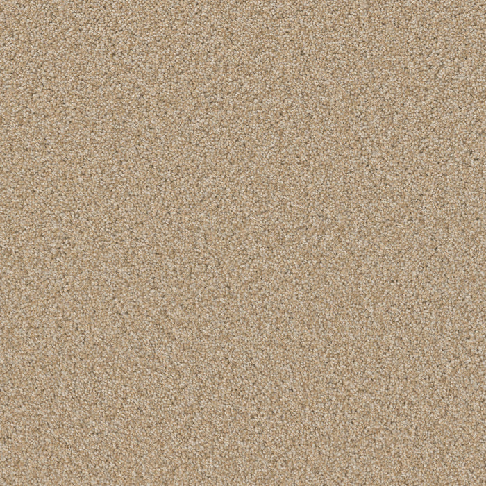 Sp251 Polyester Frosted Clay 4522 Carpet Textured 1