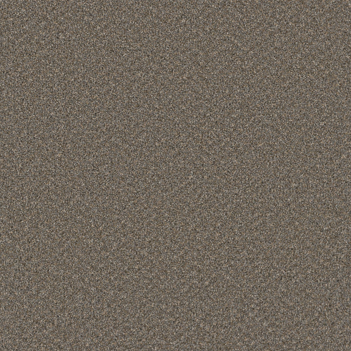 Sp251 Polyester Field Slate 477 Carpet Textured 1