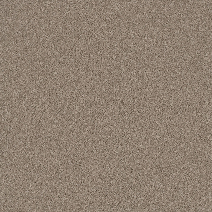 Sp251 Polyester Flax Beige 535 Carpet Textured 1
