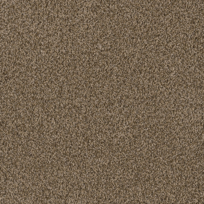 Sp251 Polyester Shimmer 711 Carpet Textured 1