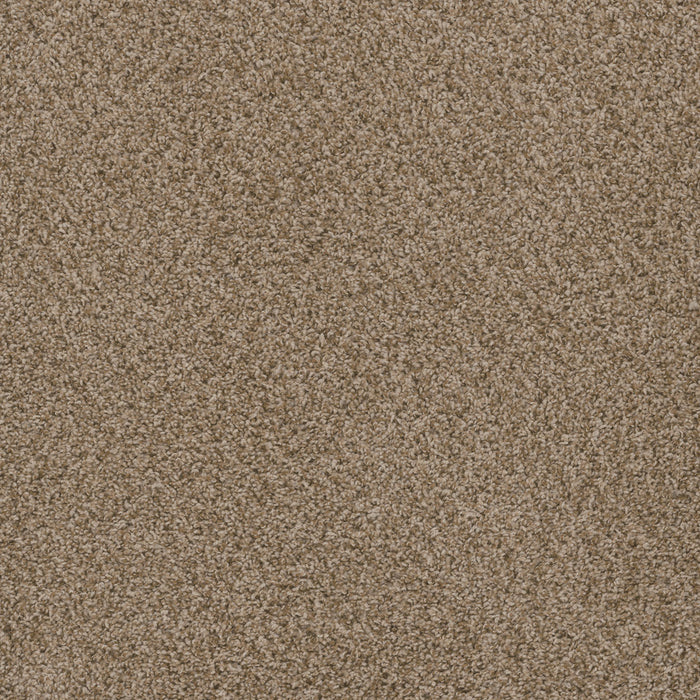 Sp251 Polyester Sandlot 753 Carpet Textured 1