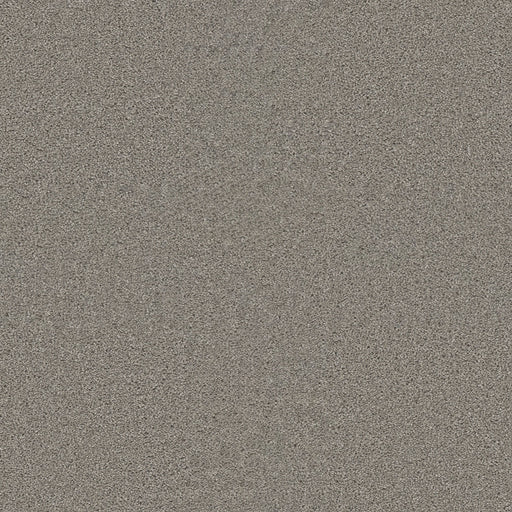 DreamWeaver Finishing Touch 2849 Cosmo Pattern Polyester Carpet