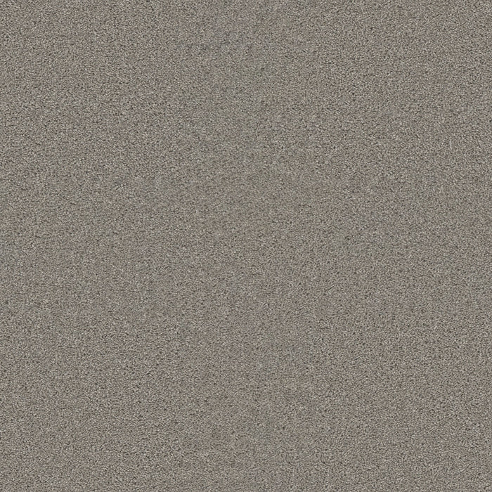 Sp251 Polyester Silver Birch 800 Carpet Textured 1