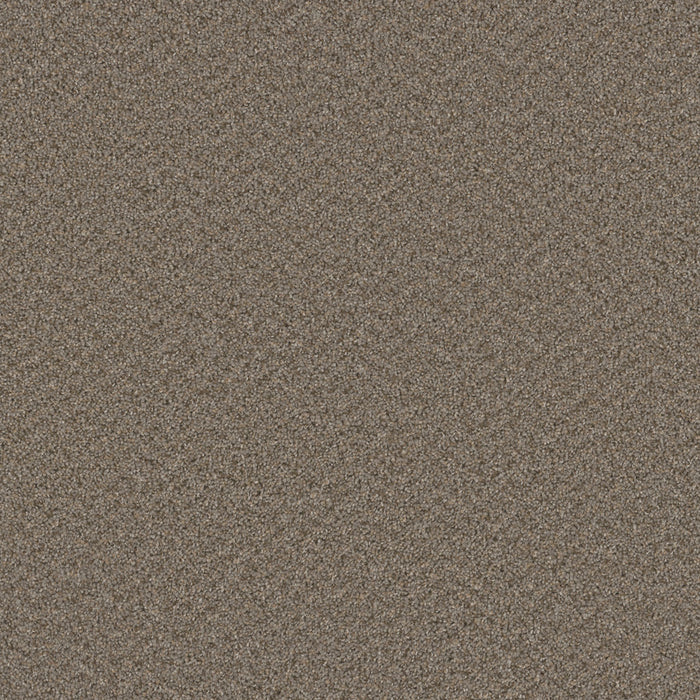 Sp251 Polyester Cinder 835 Carpet Textured 1