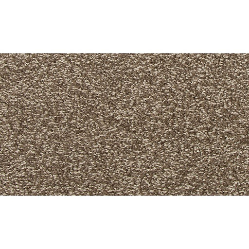 Refreshing Charm Sonora 869