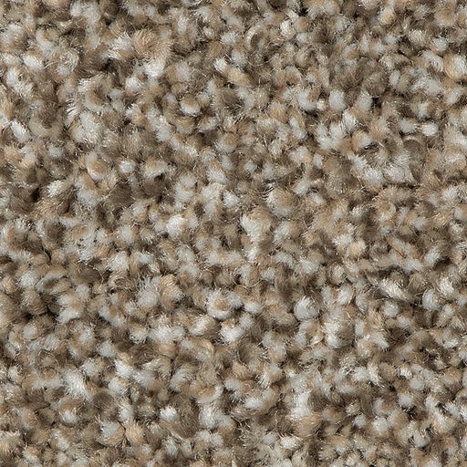 Refreshing Shades Vision 859