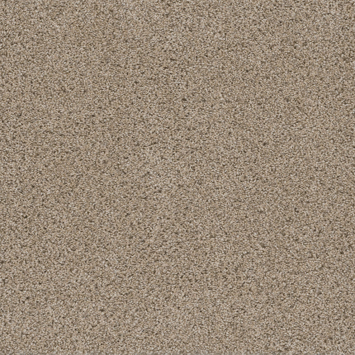 Easy Street Polyester Oxford 720 Carpet Tile Textured 1