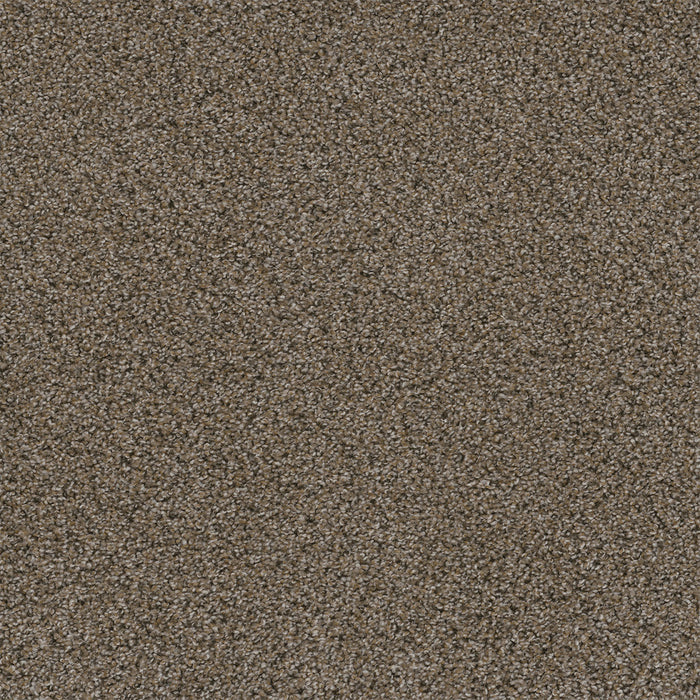 Walk In The Park Polyester Copper Mine 314 Carpet Tile Textured 1