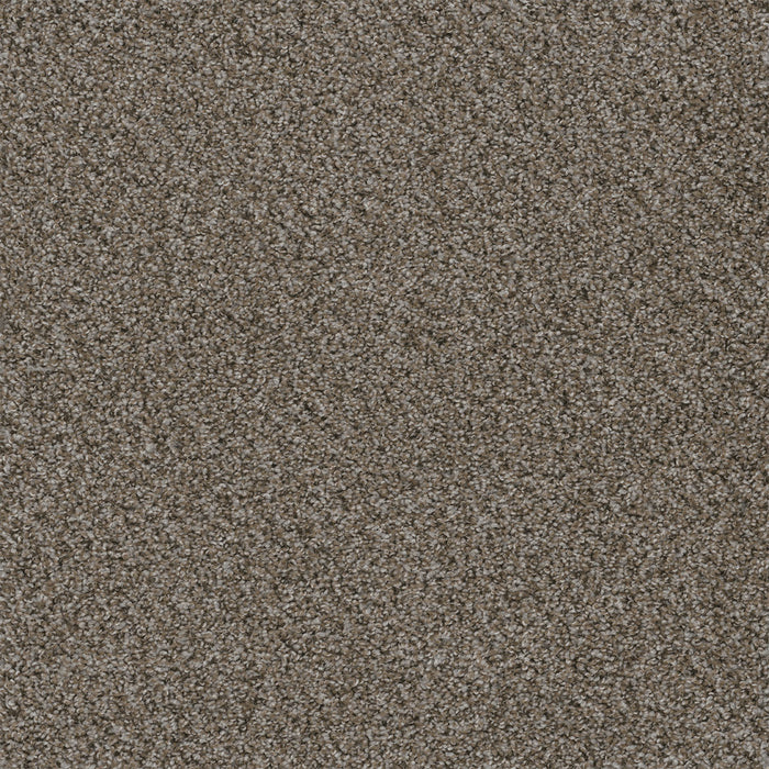 Walk In The Park Polyester Lace Agate 377 Carpet Tile Textured 1