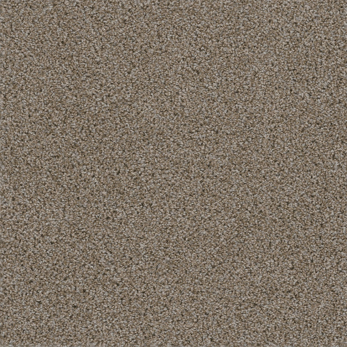 Walk In The Park Polyester Granite 444 Carpet Tile Textured 1