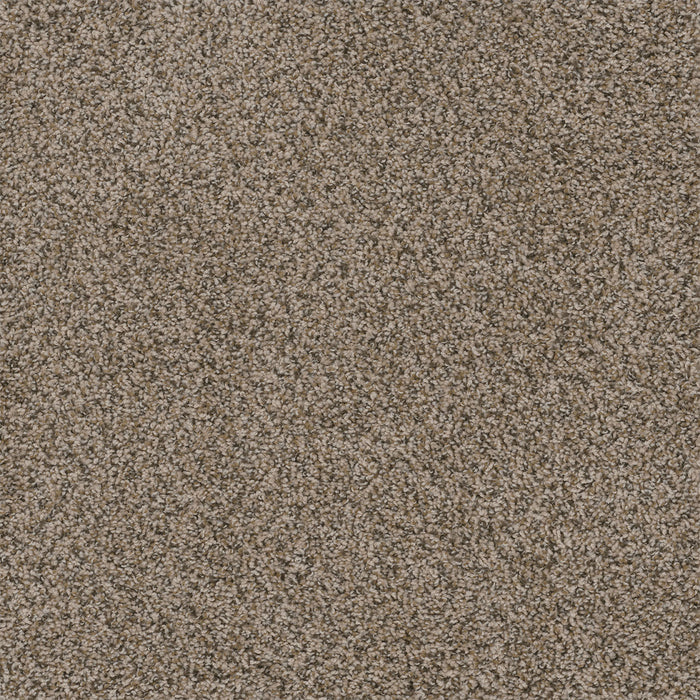 Walk In The Park Polyester Gemstone 760 Carpet Tile Textured 1