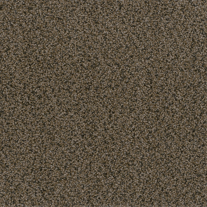 In A Snap Polyester Rustic Charm 383 Carpet Tile Textured 1
