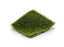Bethpage Field / Olive 260047-ST-cut