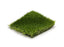 Winged Foot Field / Apple 260049-ST-cut