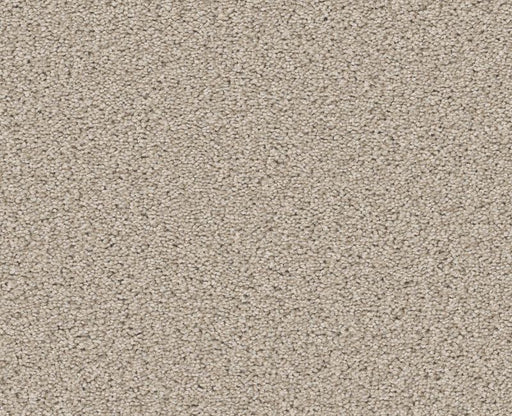 Trusolutions III Sugar Cookie Polyester Carpet - Textured