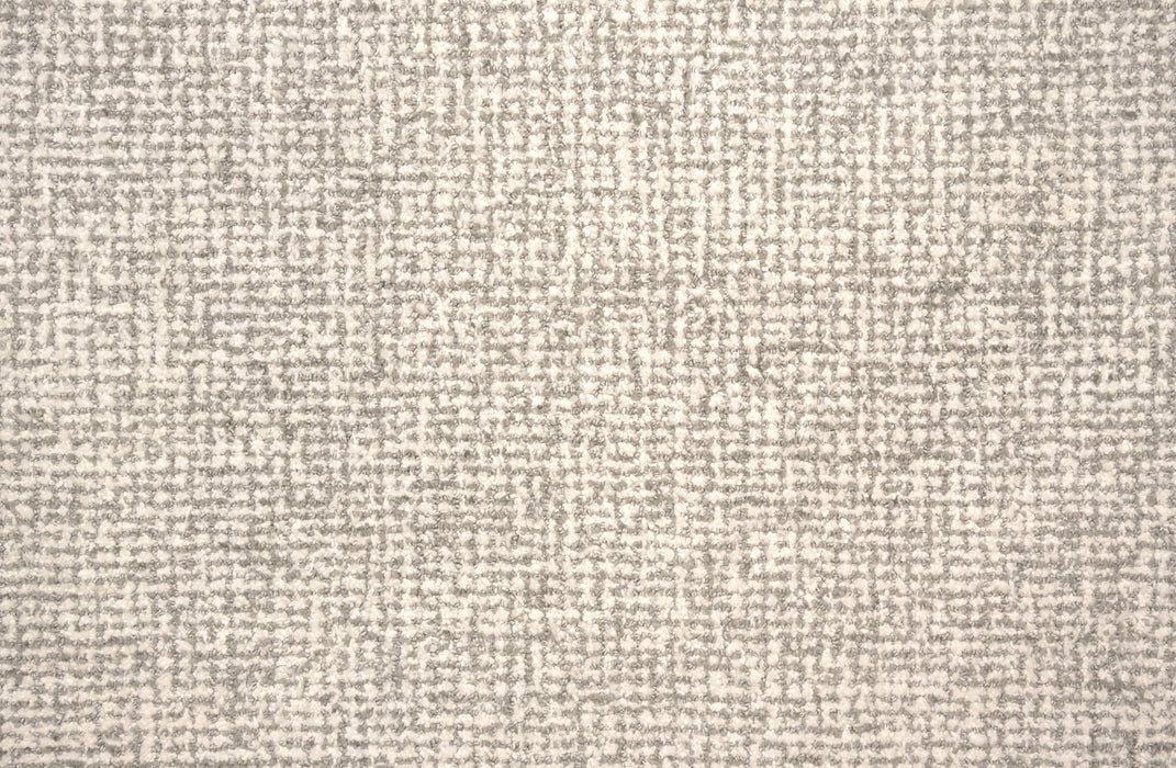 San Salvador Nylon Frosted Grey 26603 Carpet Loop 1