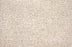 San Salvador Nylon Frosted Sand 26602 Carpet Loop 1