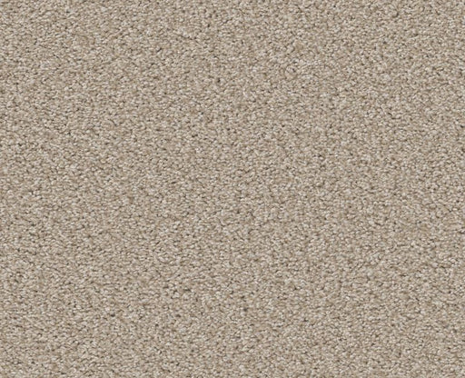 Trusolutions III Sand Polyester Carpet - Textured