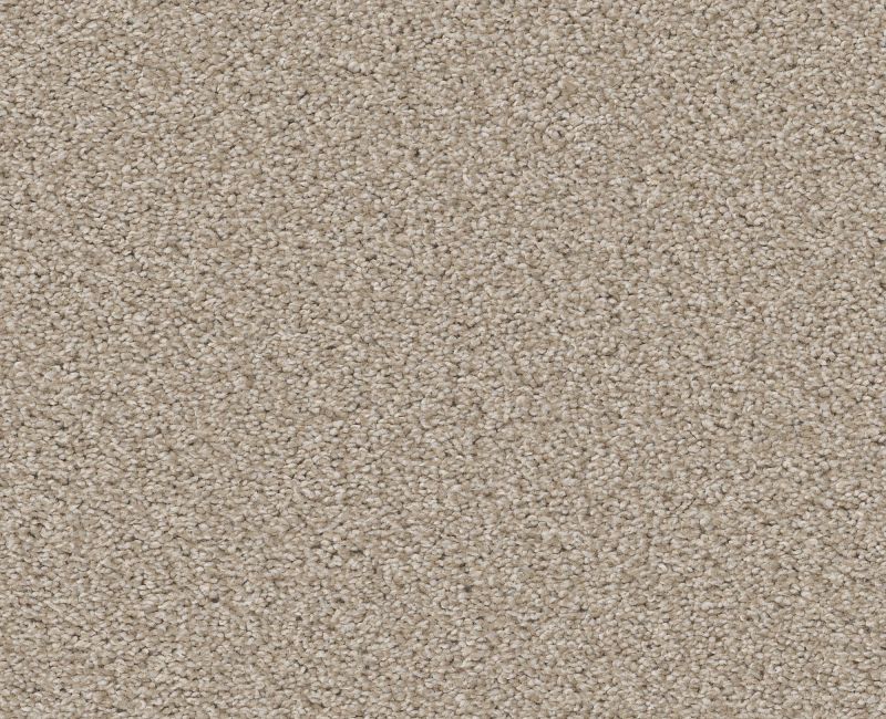 Trusolutions III Sand Polyester Carpet - Textured