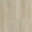 Captiva Vinyl Sand Dollar Vinyl Plank Textured 1