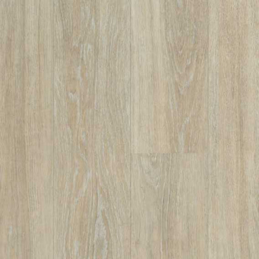 Captiva Vinyl Sand Dollar Vinyl Plank Textured 1