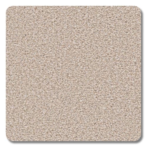 Sanibel Polyester Alabaster Carpet Textured 2