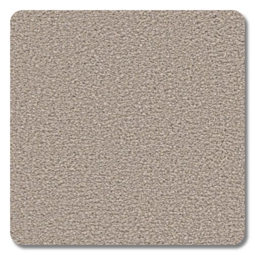Sea Island Anchor Polyester Carpet - Textured
