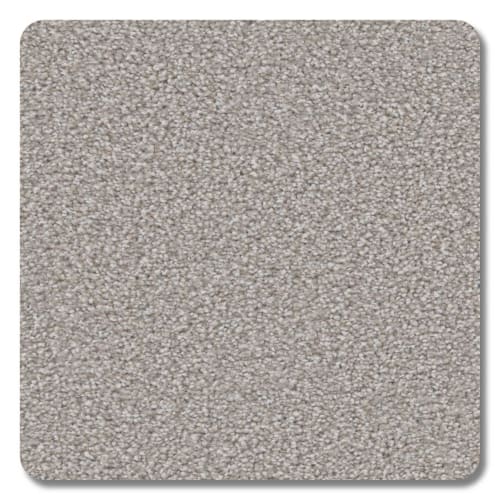 Sanibel Conch Shell Polyester Carpet - Textured