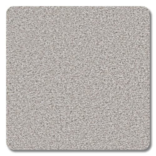 Sanibel Polyester Sand Dollar Carpet Textured 2