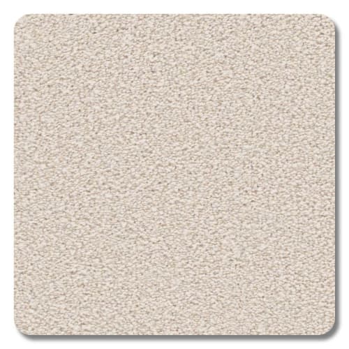 Sanibel Polyester Seashell Carpet Textured 2